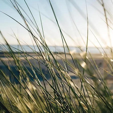 Nordstrandperle Ap S2 *