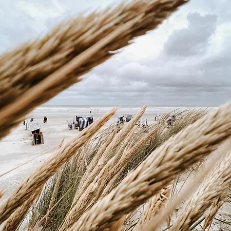 Nordstrandperle Ap S2 Apartment *