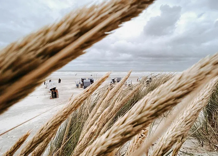 Nordstrandperle Ap S2 Διαμέρισμα *